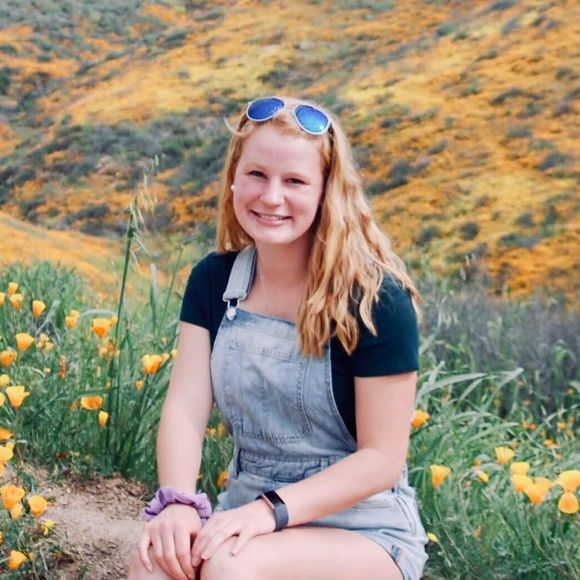 Meet your Posher, Sydney - Picture 1 of 1